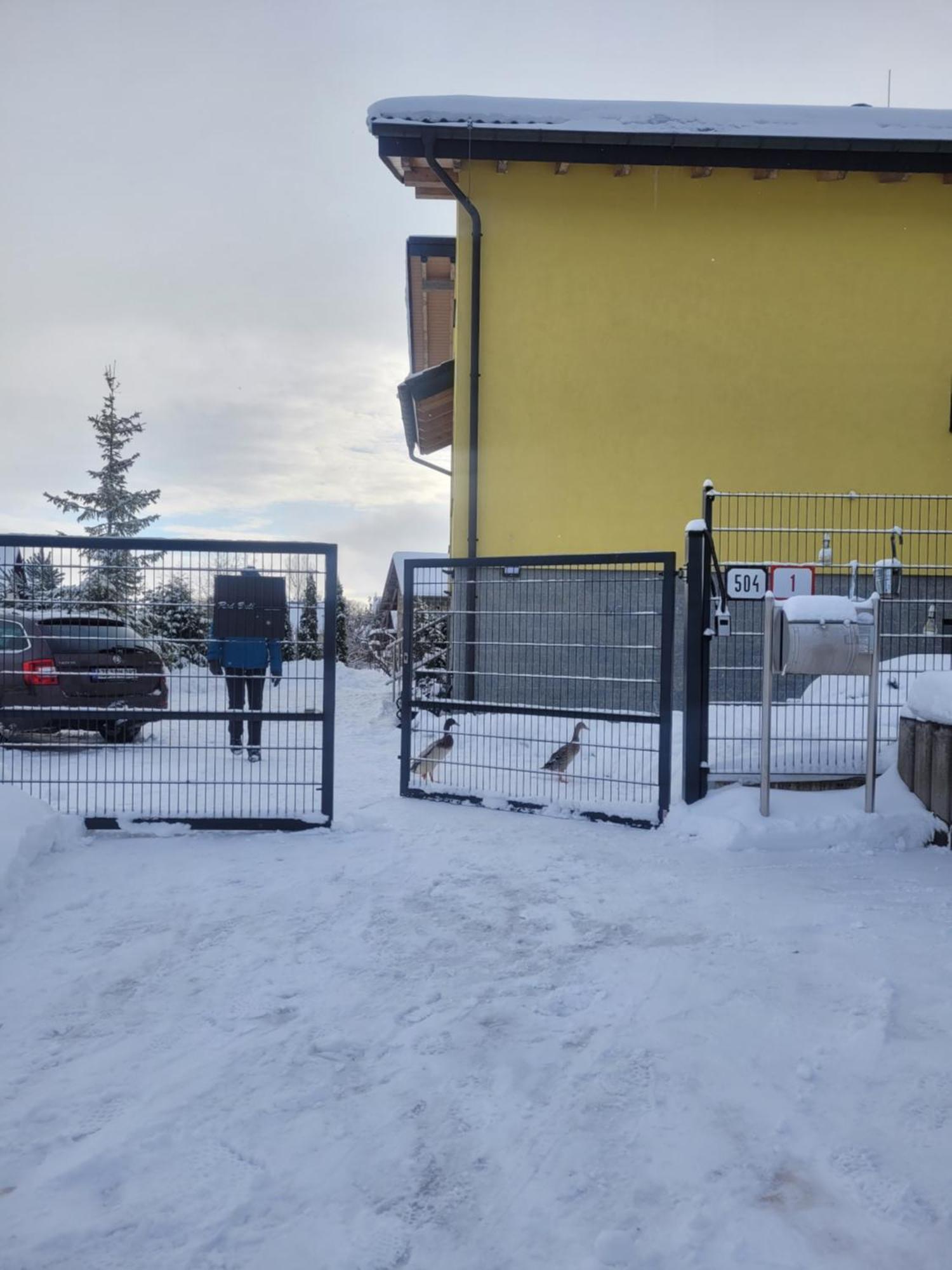 Apartment Privat Luna - Vysoke Tatry Nová Lesná Eksteriør bilde