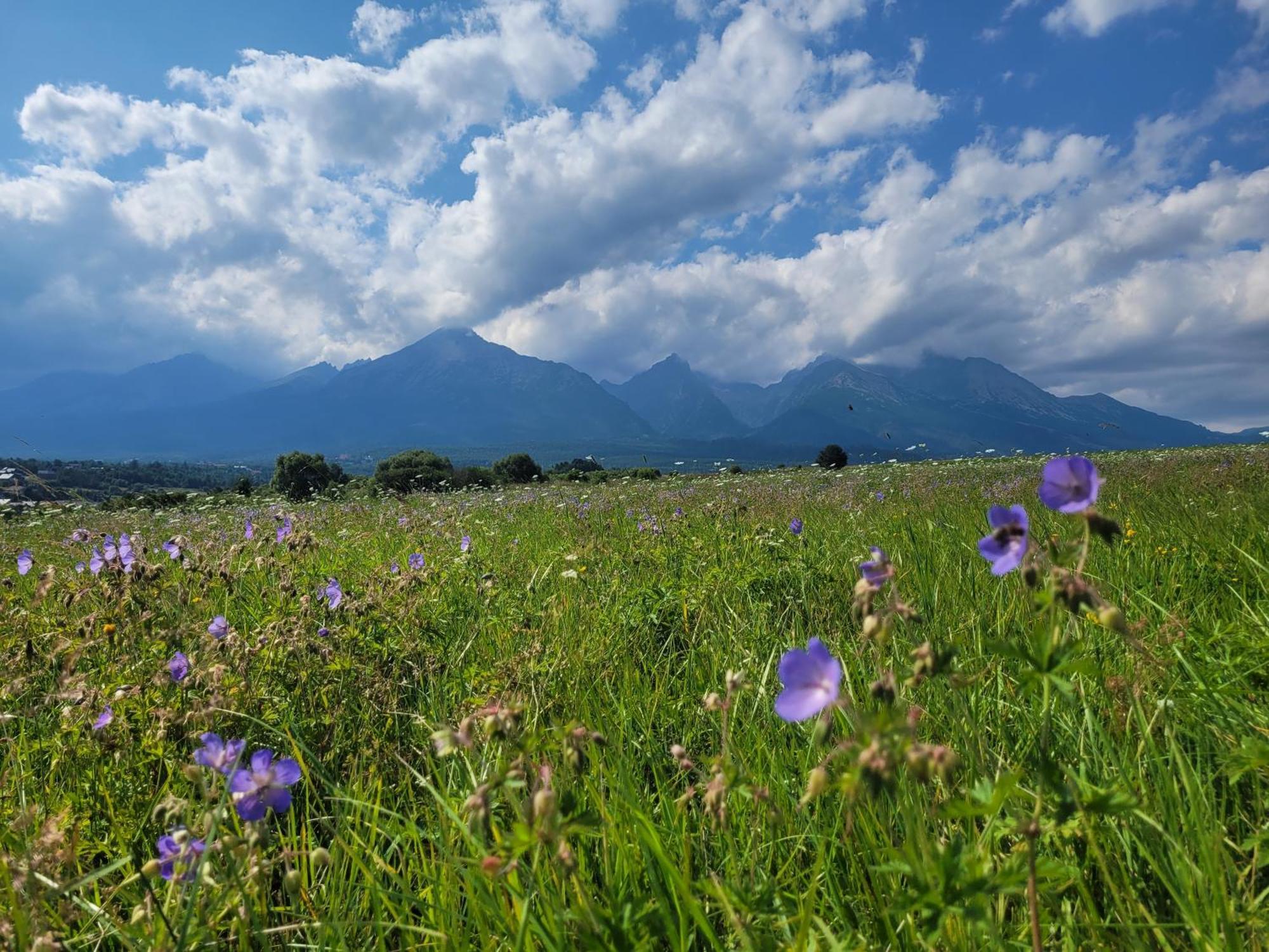 Apartment Privat Luna - Vysoke Tatry Nová Lesná Eksteriør bilde